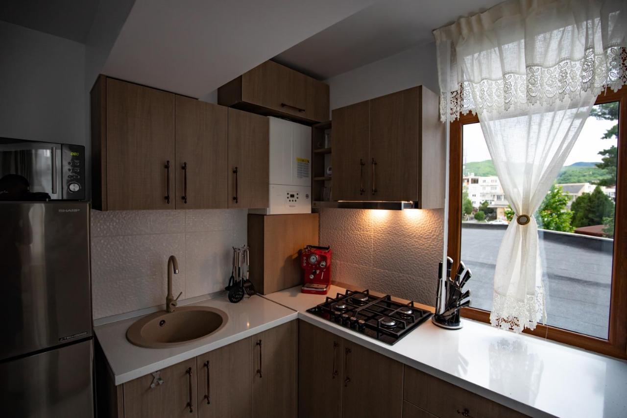 Apartament Natalia Tirgu Ocna Exterior photo